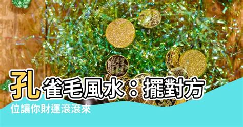 孔雀毛風水|【風水孔雀象徵什麼關係】林霖開運 